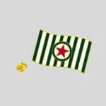 PINS DRAPEAU