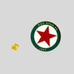 PINS LOGO