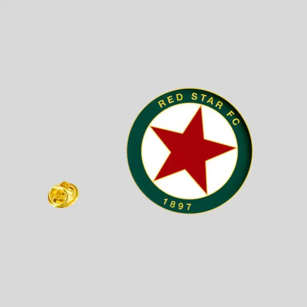 PINS LOGO